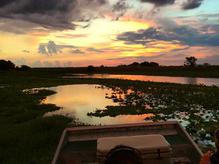 Sunset Airboat tour Near Daytona Beach, Florida.