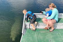 Manatee watching kids on airboat near Daytona Beach, Florida