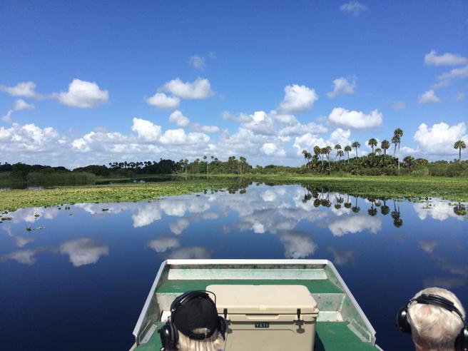 Airboat tour near Daytona Beach, FL.