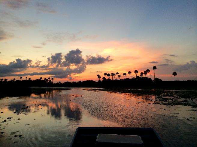 Airboat tour near Daytona Beach, FL.